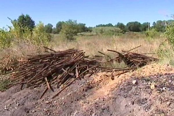 Un homme est mort en août 2010 pour empêcher un vol de piquets de vignes