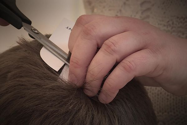 Les cheveux d'une dizaine d'enfants du secteur de Pont de l'Arche ont été analysés.