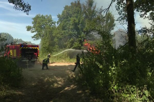 Échenoz-la-Méline : feu sur le plateau de Cita, près de Vesoul (Lundi 8 août 2022)