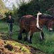 Fabiola l'Ardennaise entretient des parcelles inaccessibles.