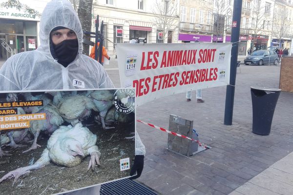 L'association L214 contre la souffrance animale s'est mobilisée le 2 décembre à Moulins pour dénoncer le projet d'élevage industriel dans l'Allier