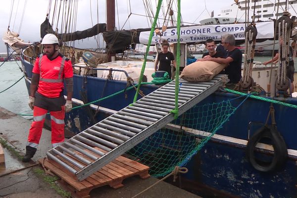 4 tonnes de fève de cacao transportées par voilier cargo depuis les Caraïbes et débarquées à Saint-Nazaire en Loire-Atlantique.