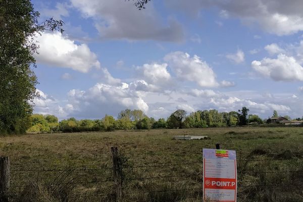 Le futur pylône de 30 mètres sera construit par la société Cellnex dans cette zone naturelle de la commune de Izon, en Gironde.

