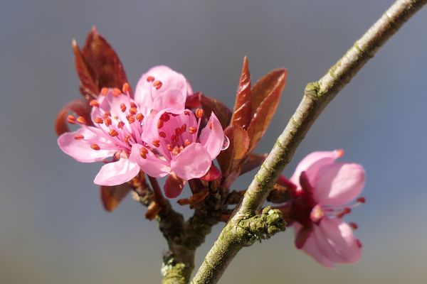 Meteo Pour Ce Premier Jour De Printemps La Journee Est Belle Et Frisquette