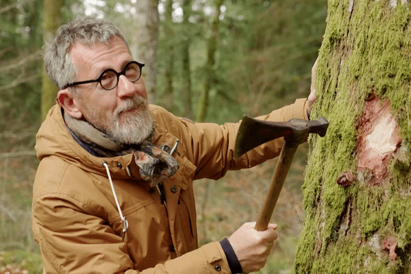 Forêts en danger : Jamy Gourmaud mène l'enquête sur France 3 mercredi 6 septembre à 21h10.