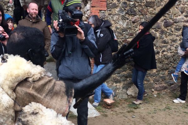 Fête de l'ours à Prats-de-Mollo (66)