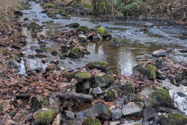 La Valoine à Feytiat en Haute-Vienne en ce début d'année. 