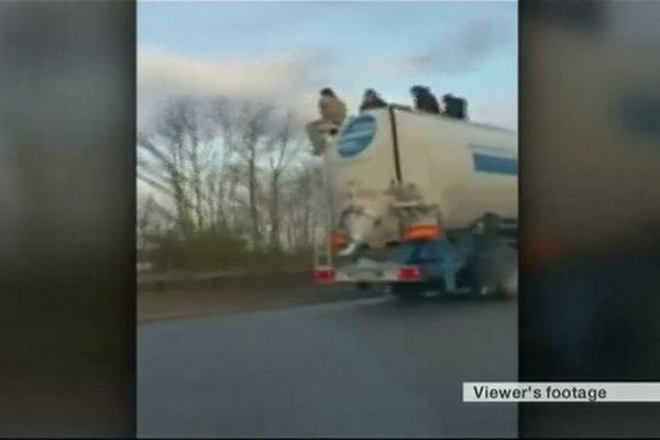 Les migrants sont sortis de la citerne de ce camion qui venait de franchir le tunnel sous la Manche.