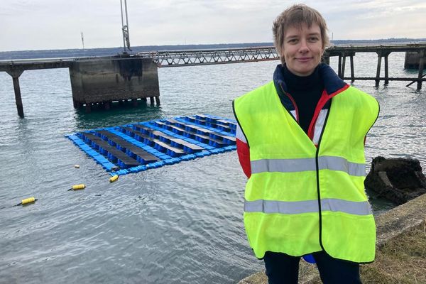 L'installation de cette centrale solaire permet aux panneaux de générer "15% d'énergie en plus" par rapport à une disposition classique sur terre.