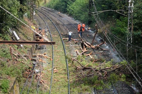 Image d'illustration. Un arbre a rompu une caténaire sur une ligne TER du Grand Est.