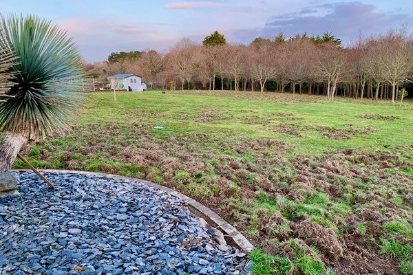 Les hardes de sangliers se jouent des classements parcellaires et saccagent la nuit les propriétés des habitants de Préfailles en Loire-Atlantique