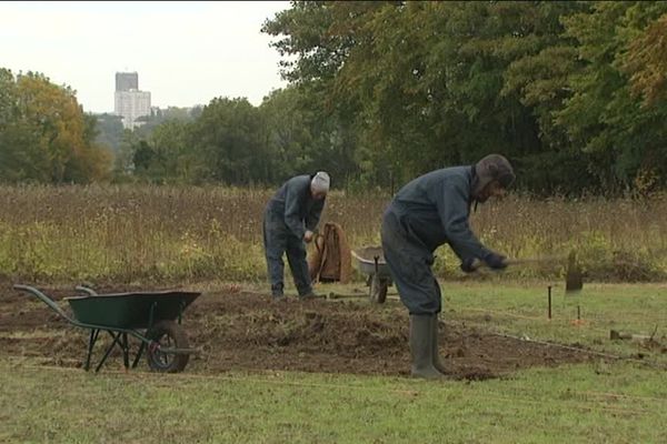 Radouane et Nabil se sont installés au pied des immeubles du quartier St Jean à Beauvais (60), sur des terres en friche prêtées par la mairie.