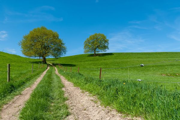 L'été en Normandie