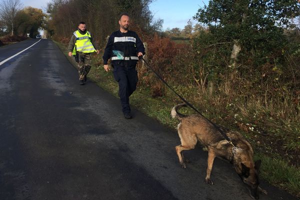 Trois mois minimum de formation sont nécessaires pour les chiens de la gendarmerie