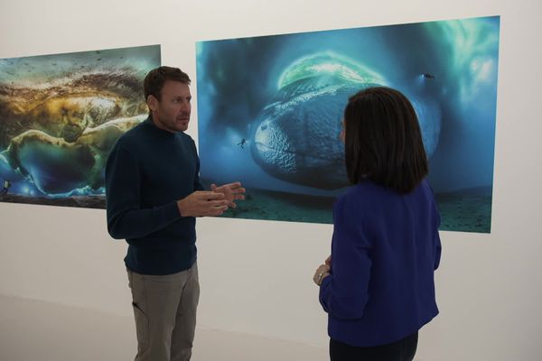 Le photographe naturaliste Laurent Ballesta nous présente son exposition "Mer et Mystère" issue des expéditions Gombessa