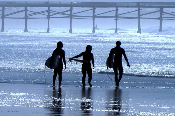 Surf Friends, San Diego