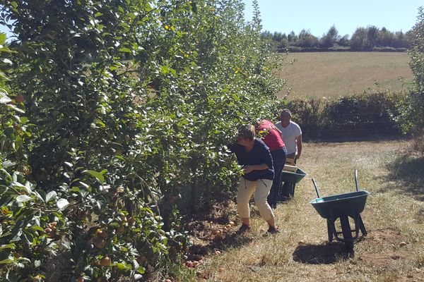 Les cueilleurs de pommes étaient nombreux dimanche 16 septembre 2018 à Saint-Agnant-de-Versillat