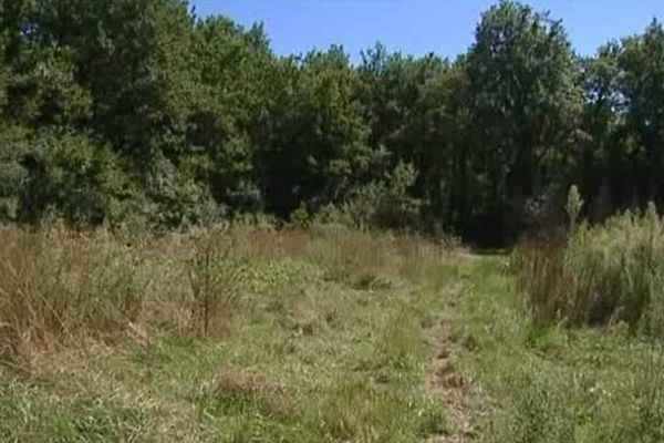 Un terrain de plusieurs hectares au coeur d'une polémique