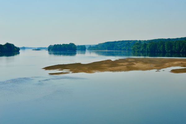 Les Rosiers-sur-Loire, la Loire en été