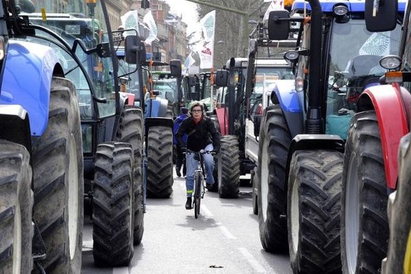 Lors d'une manifestation d'agriculteurs à Toulouse, en novembre 2014. 