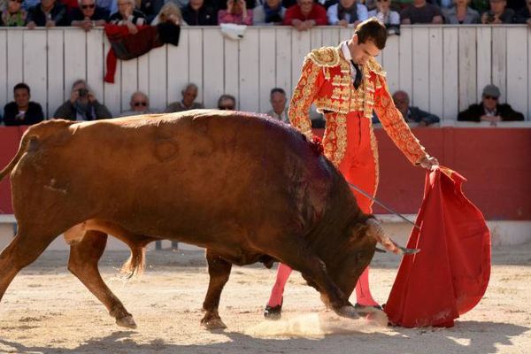 Une oreille à chaque toro de Juan Pedro. Thomas Joubert est le triomphateur de la feria d'Arles.