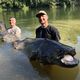 Laurent et Mathieu Toc, aidés de leur ami Théo ont pêché un silure de 2m67 et de 130 kilos dans le Tarn près d'Albi, ce vendredi 30 août 2024.