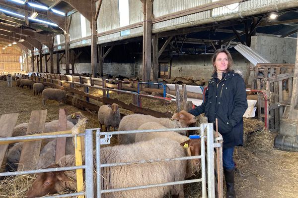 Cécile vit et travaille sur les terres de l'ancienne Zad depuis 2015.