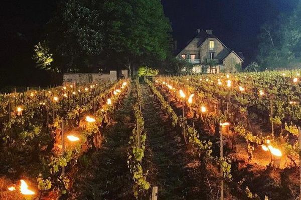 Lors d'une des scènes majeures du film Champagne, les vignes ont été illuminées pendant la nuit (une technique pour les protéger du gel printanier).