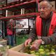 Georges Sintes, 83 ans, est bénévole depuis 12 ans pour la banque alimentaire de l'Hérault.