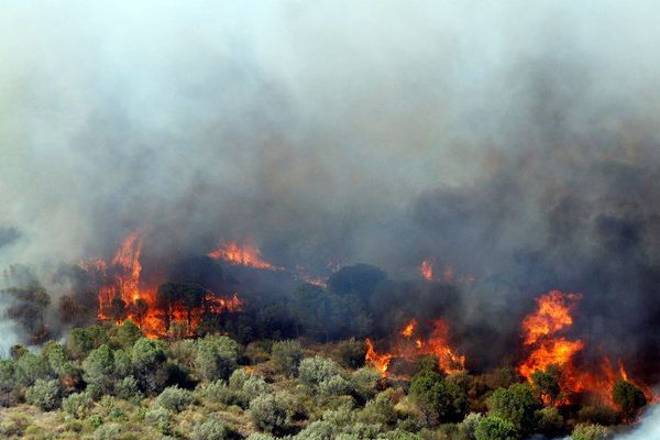 L'incendie vu de Rodès (Pyrénées-Orientales) le 11 août 2016.