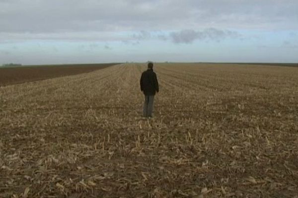 En 2010/2011, Terre de Liens a soutenu le projet de Willy Vindevogel à Hangest-en-Santerre dans la Somme