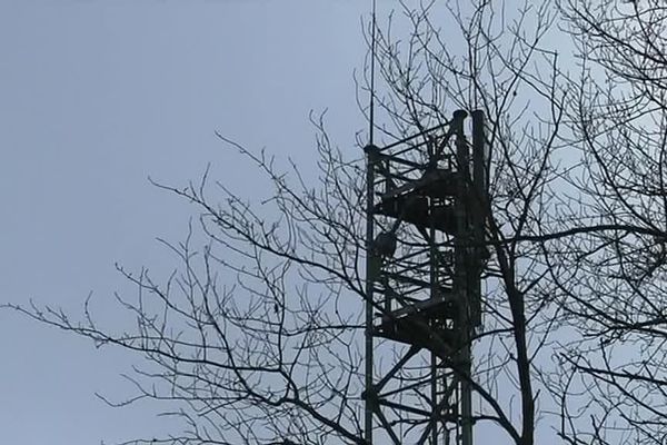 De nouveaux pylones ont été érigés en Saône-et-Loire sur  les communes de La Grande-Verrière et de Saint-Léger-sous-Beuvray. Il s'agit des deux premiers sites multi-opérateurs d'accès à l'internet mobile.