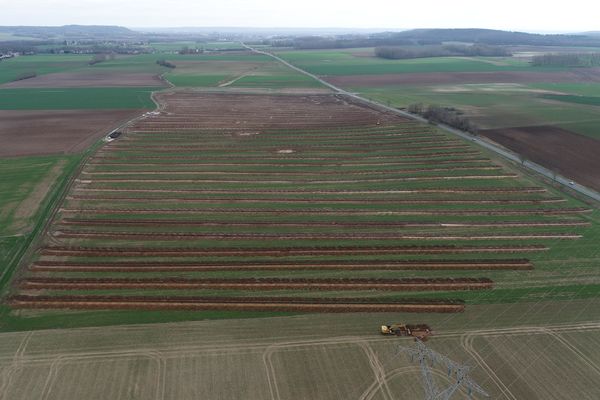 Les découvertes archéologiques ne sont pas une surprise pour le service départemental d'archéologie de l'Oise. Photo : Vue aérienne du diagnostic archéologique.