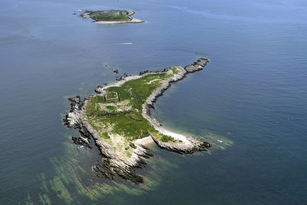 Îles Saint-Marcouf, en 2015