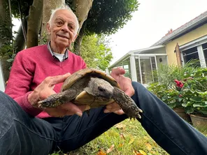 Yves Bescond, habitant de Cesson-Sévigné (Ille-et-Vilaine), a retrouvé sa tortue Nénette, qui s'était enfuie de son domicile depuis cinq semaines.