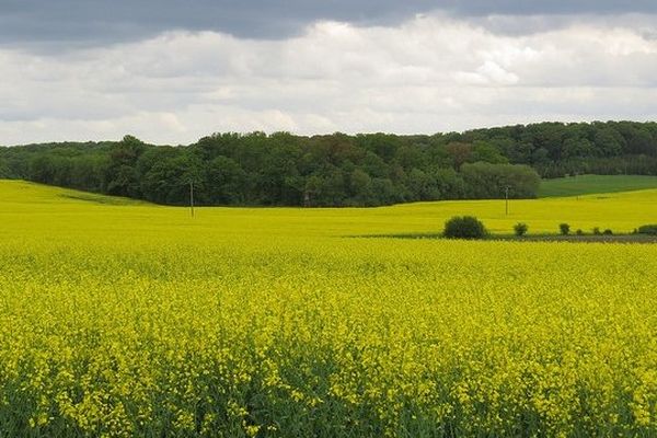 Couleurs d'été