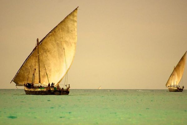 Boutres à Zanzibar