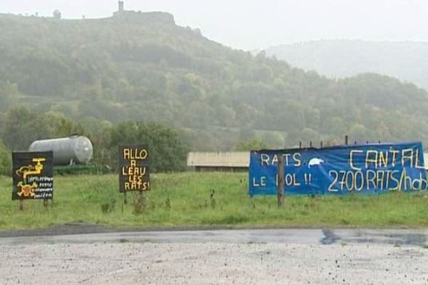 Les habitants d'Allanche (15) attendent des pouvoirs publics plus d'efficacité dans la lutte contre les rats taupiers.