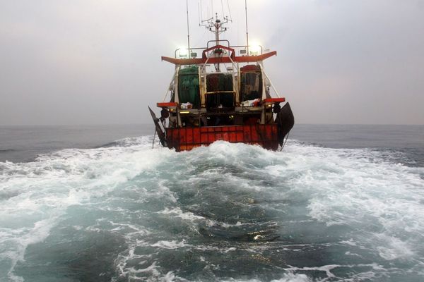 L'accord "de bon voisinage" entre les pêcheurs britanniques et leurs homologues de l'Union européenne pourrait être prolongé jusqu'à fin 2020