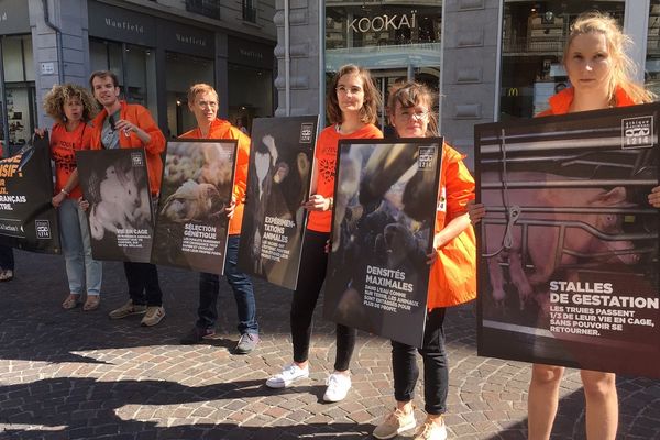 L'association L214 qui milite pour le bien-être des animaux a mené une action dans le centre-ville de Grenoble ce samedi.