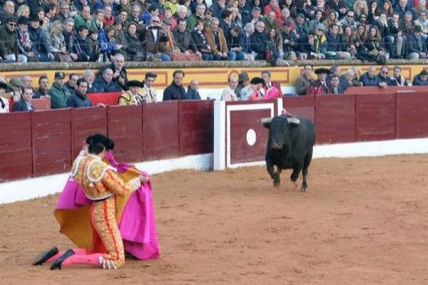 Olivenza, samedi 5 mars. Une véronique à genoux pour commencer la saison 2016. Miguel Ángel Perera avait fini 2015 à Salamanque sur une dramatique blessure en toréant de la même façon. Ainsi font les toreros qui veulent marquer leur époque.