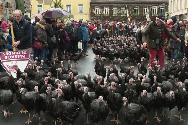 défilé des dindes de Licques l'an dernier