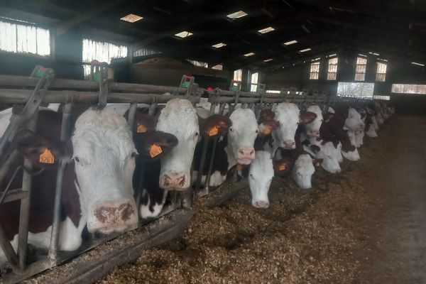 Quentin Jaffuel, agriculteur à Manglieu, exprime sa colère.