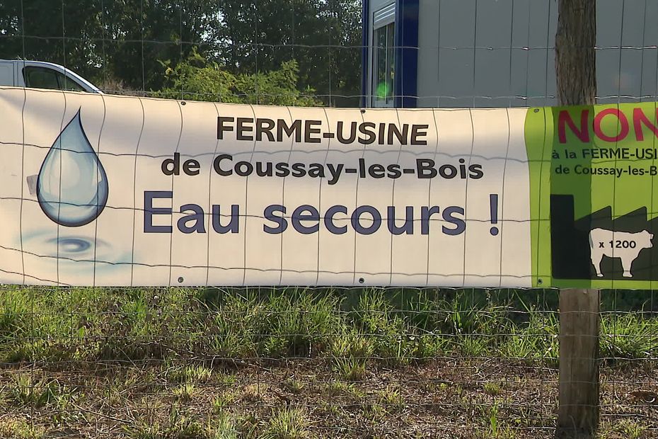 PLAYING BACK.  After seven years of demonstrations, an agricultural project of 1,200 bulls will see the light in Coussay-les-Bois, to see in your JT France 3 Poitou-Charentes