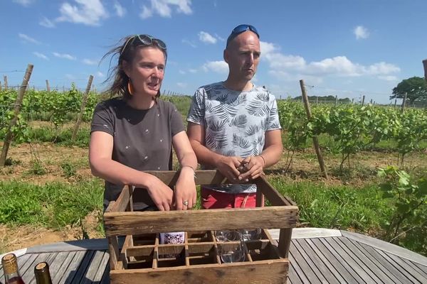 Marie Devigne et Guillaume Hagnier ont répondu en 2020 à l’appel de la commune de Sarzeau qui souhaitait relancer la production de vin, disparue depuis les années 1950