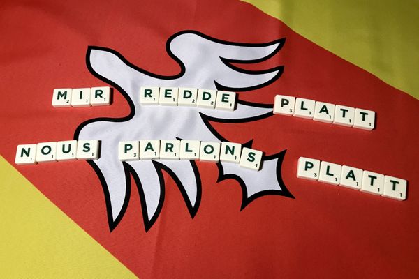 "Mir redde Platt" se traduit "nous parlons Platt". C'est le titre d'un festival linguistique qui se déroule chaque année à Sarreguemines en Moselle depuis 1999.