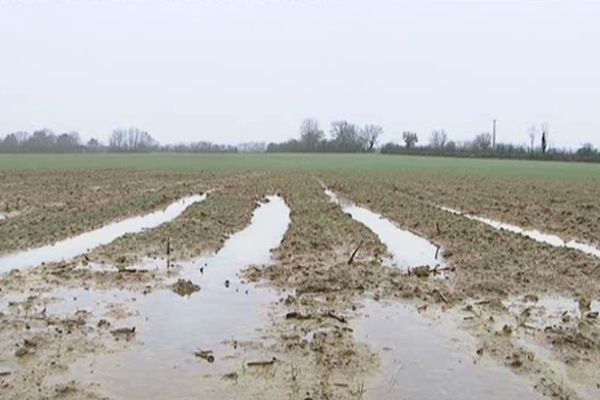 Des champs inondés à Nouaillé-Maupertuis près de Poitiers dans la Vienne.