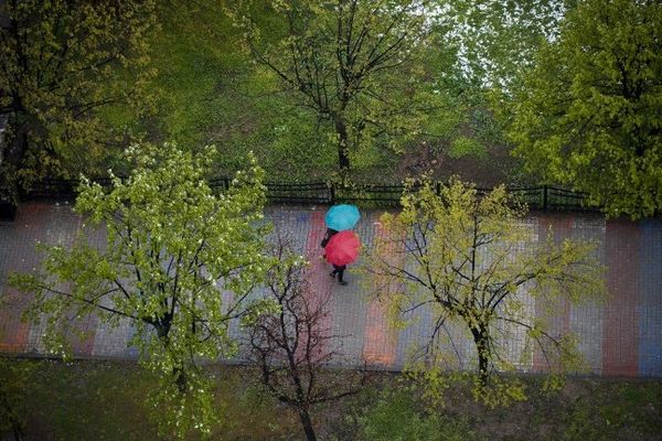 Point de vue image du monde : des piétons sous la pluie à Pristina en Serbie, le 16 avril 2014