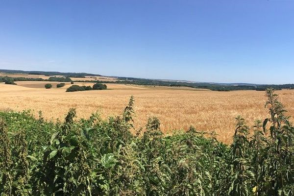 Une carrière de calcaire pourrait être creusée sur ces terres à Brueil-en-Vexin