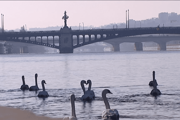 Lyon en hiver - 7/1/17